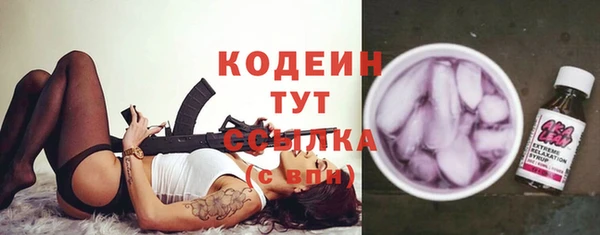 индика Баксан