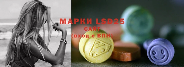 индика Баксан