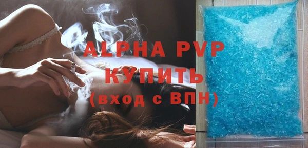 индика Баксан