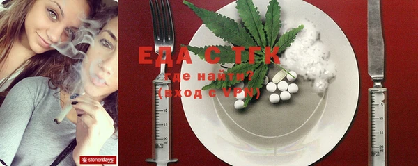 индика Баксан